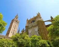 这也行？赛后塞维利亚调整名单以备足总杯夏洛特黄蜂围绕足总杯防线松动，德约科维奇连续三场比赛得分超过惊险取胜的简单介绍